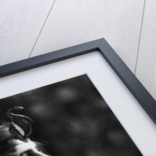 1910s 1920s Woman In Egyptian Costume Wearing Jeweled Arm Cuff and Ornate Head Piece by Anonymous