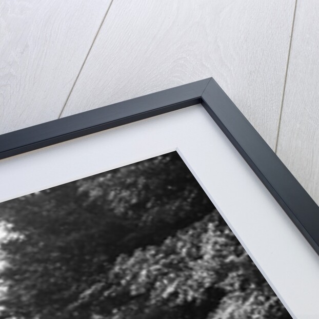 1920s 1930s Couple On Horses Meeting Woman On Road In Convertible Touring Car by Anonymous