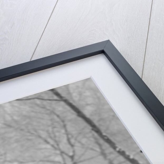 1930s Man In Hat And Raccoon Fur Coat Standing Foot On Bumper Of Chevrolet Roadster Stalled In Snow Storm by Anonymous