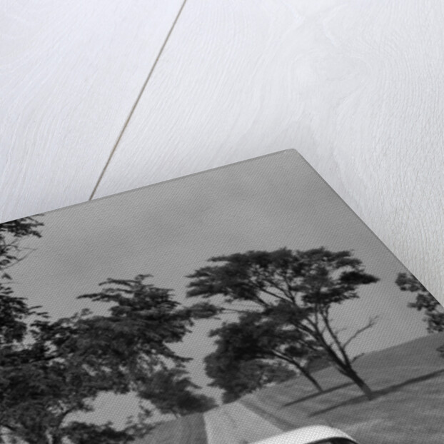 1950s Back Of White Ford Sedan Driving Off With Just Married Sign by Anonymous