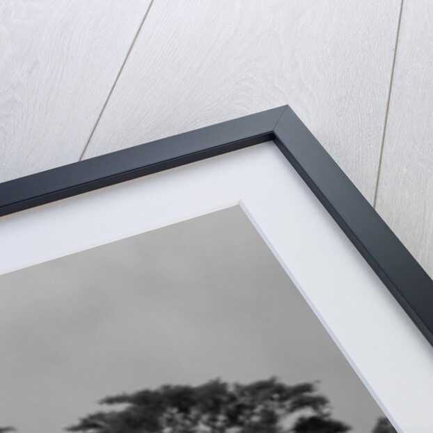 1950s Back Of White Ford Sedan Driving Off With Just Married Sign by Anonymous