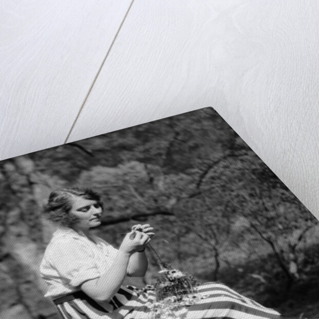 1920s Young Woman In Striped Skirt Sitting On Stream Bank In Woods Braiding Garland Of Wild Flowers by Anonymous