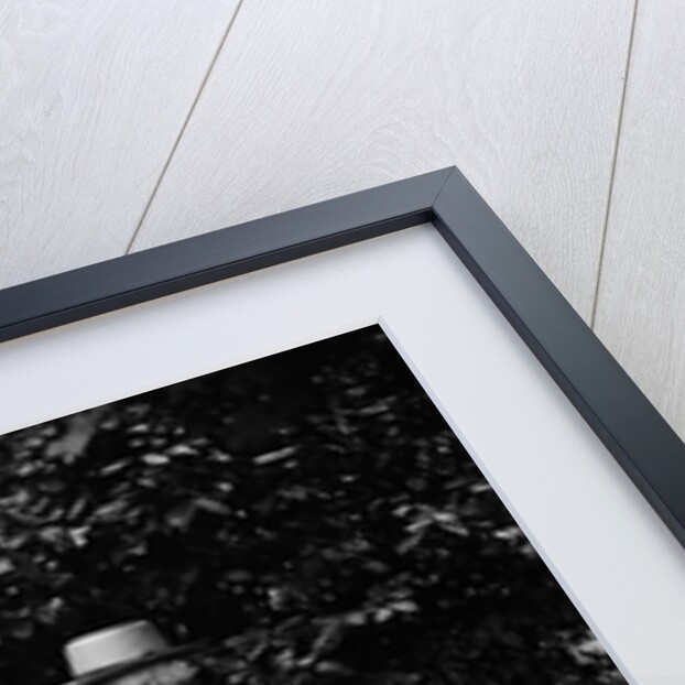 1900 Two Men Sitting Outside In Chairs Among Trees Smoking Cigars Talking Dog Laying At Their Feet by Anonymous