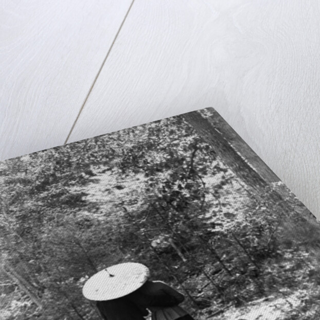 1900 View Of Back Of Couple Walking Through Woods Under Umbrella Man With Arm Around Woman by Anonymous