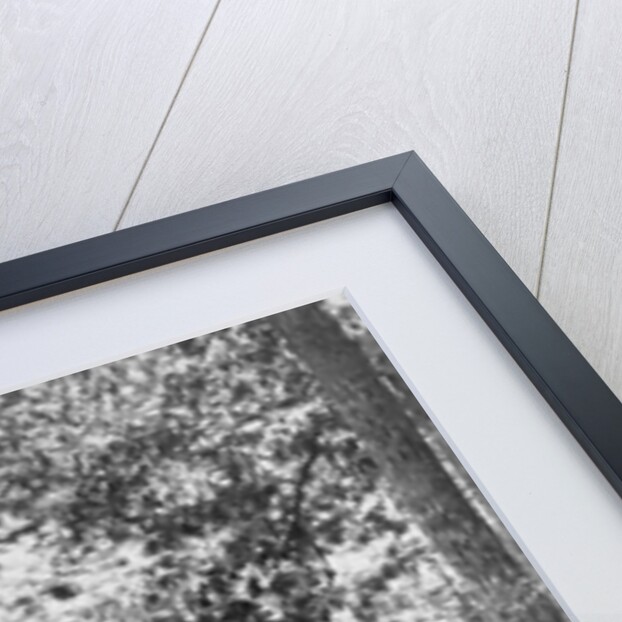 1900 View Of Back Of Couple Walking Through Woods Under Umbrella Man With Arm Around Woman by Anonymous