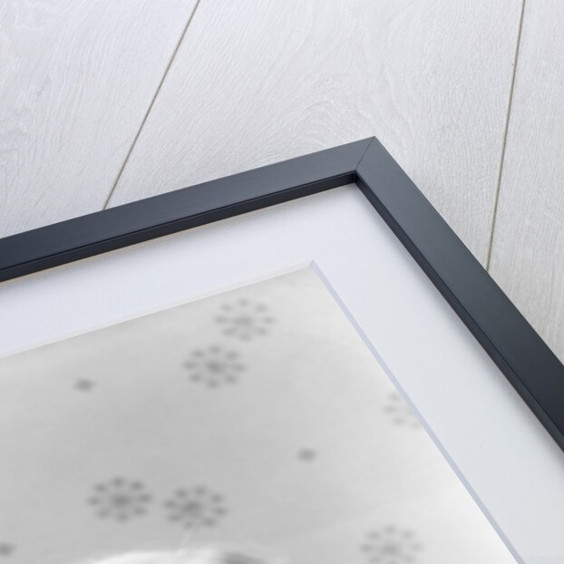 1930s Portrait Of Elderly White Hair Woman Wearing Pince-Nez Glasses by Anonymous