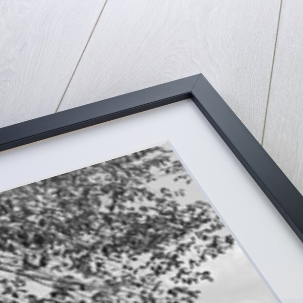 1950s Woman Walking On Sidewalk Carrying A Grocery Bag Full Of Food by Anonymous