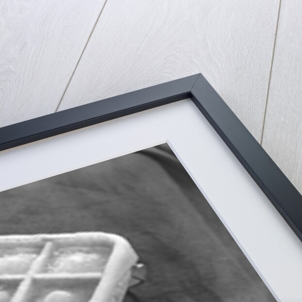 1930s Cold Frosty Aluminum Ice Cube Tray by Anonymous