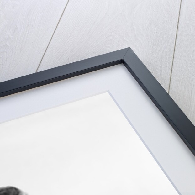 1960s Young Woman In Trash Can by Anonymous