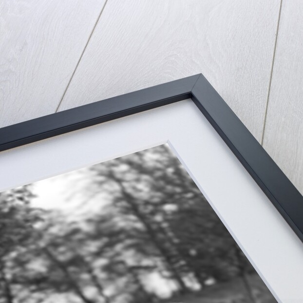 1930s Two Boys Riding Tricycles by Anonymous