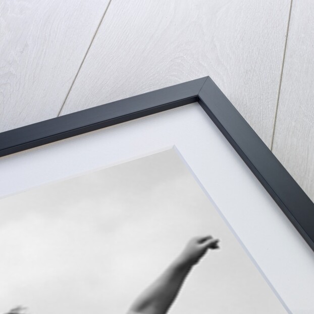 950s Boy Jumping Up by Anonymous