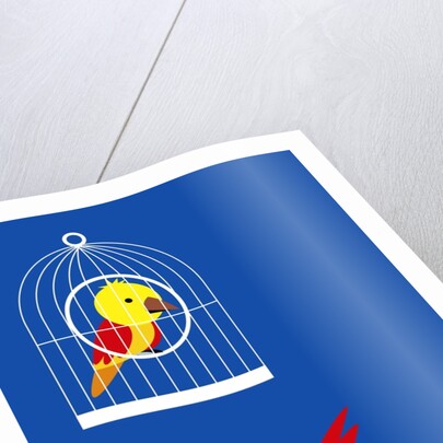 bird in cage, flying bird by Anonymous