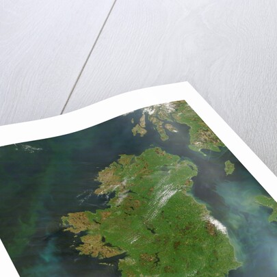 Island of Ireland by Anonymous