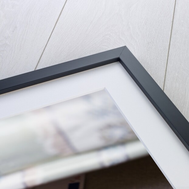 Money Under Mattress by Anonymous