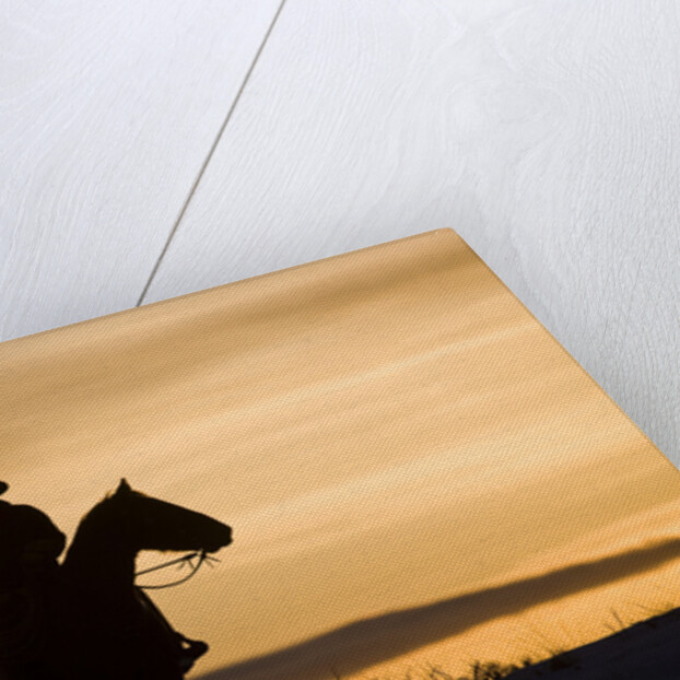 Cowboy at Sunset by Anonymous