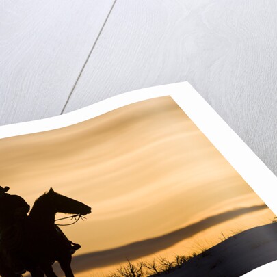 Cowboy at Sunset by Anonymous