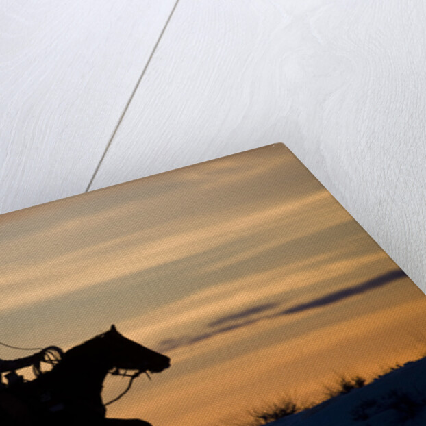 Silhouette of Cowboy in Wyoming by Anonymous