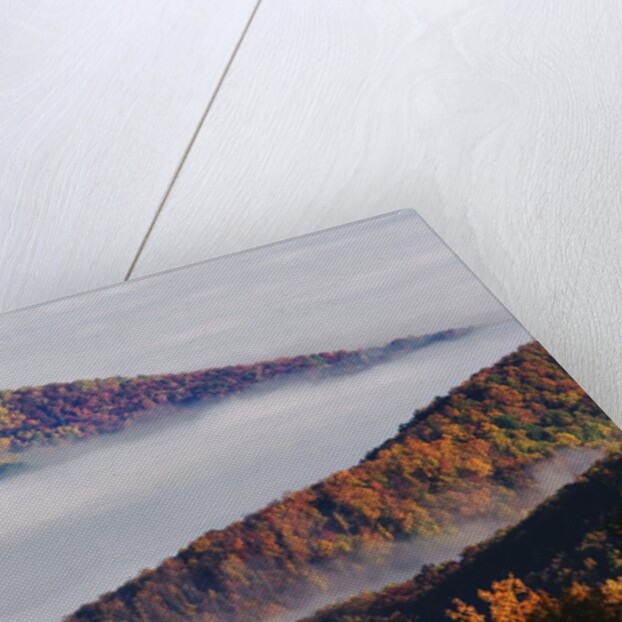 Fog Over Appalachian Mountains in Autumn by Anonymous