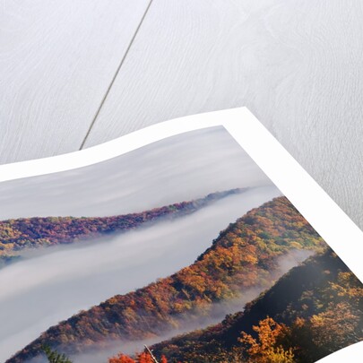 Fog Over Appalachian Mountains in Autumn by Anonymous