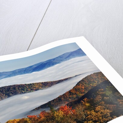 Fog Over Appalachian Mountains in Autumn by Anonymous