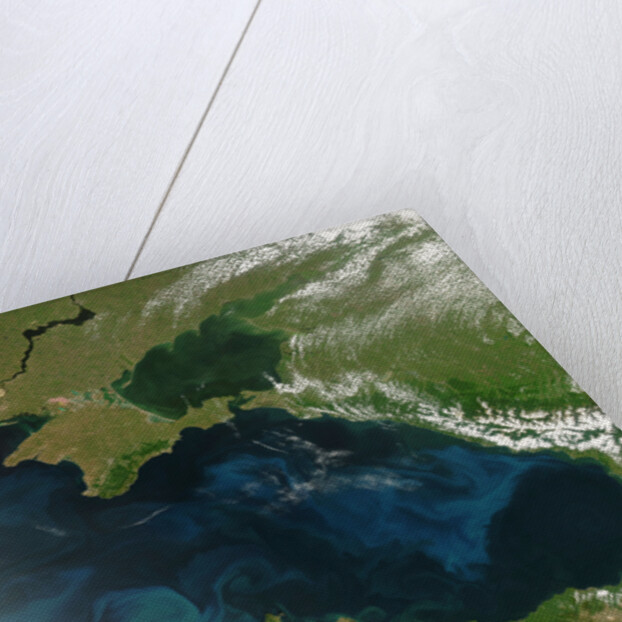 Low Earth Orbit View of the Black Sea by Anonymous