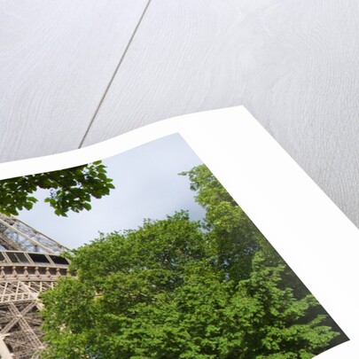 Eiffel Tower and Trees by Anonymous