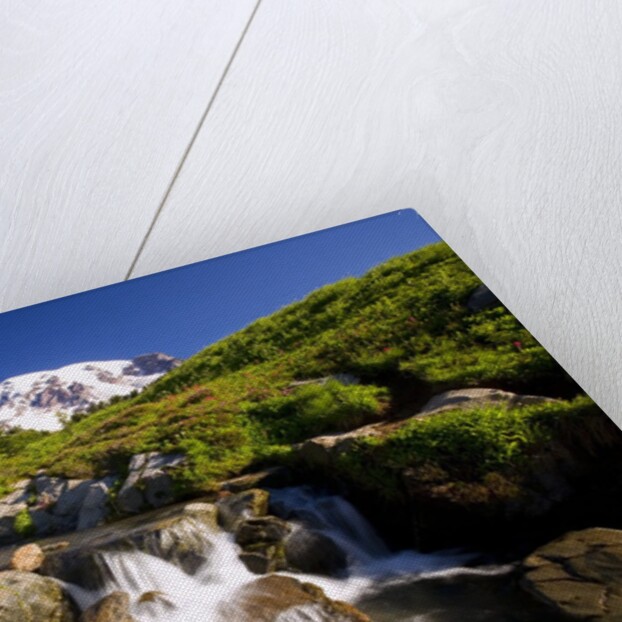 Waterfall and Mt. Rainier by Anonymous