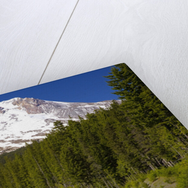 Mount Hood by Anonymous