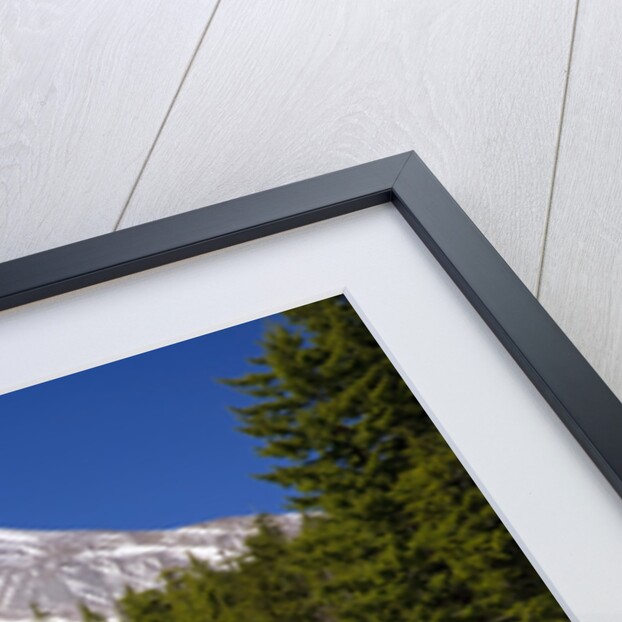 Mount Hood by Anonymous