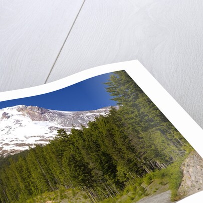 Mount Hood by Anonymous