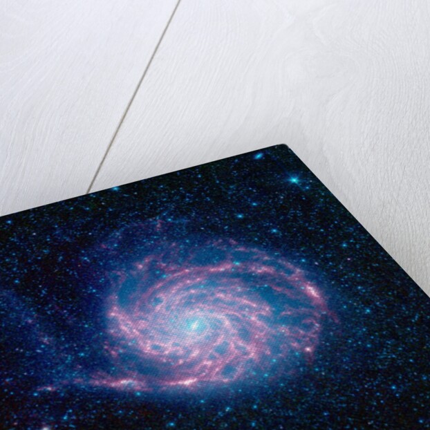 Pinwheel Galaxy by Anonymous