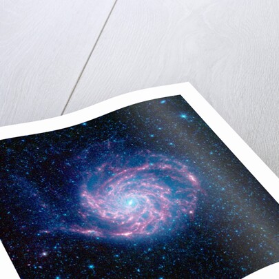 Pinwheel Galaxy by Anonymous