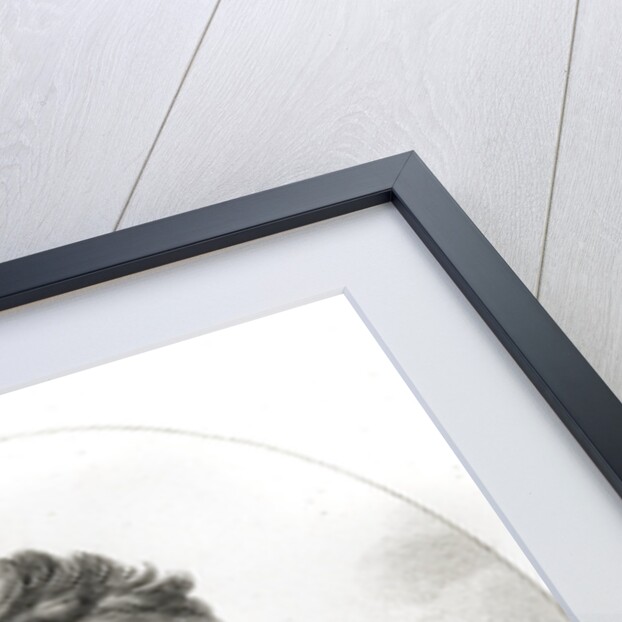 Portrait of Augustin Pyramus de Candolle by Anonymous