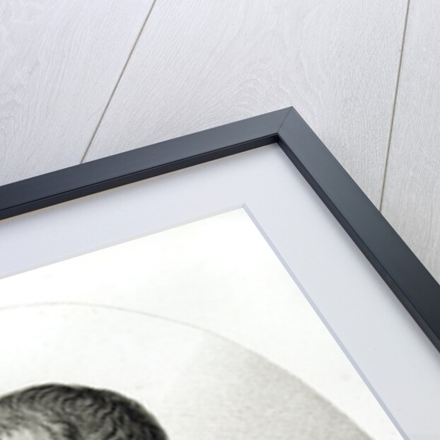 Portrait of Charles de l'Ecluse by Anonymous