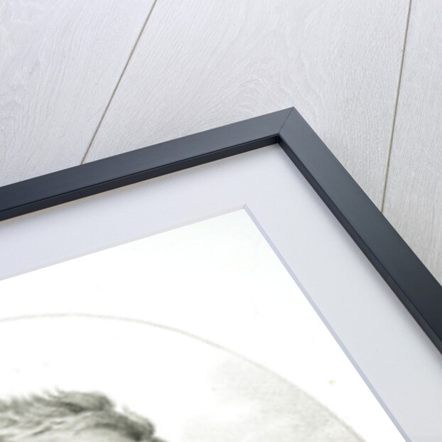 Portrait of Jean-Antoine Claude, Comte Chaptal de Chanteloup by Anonymous