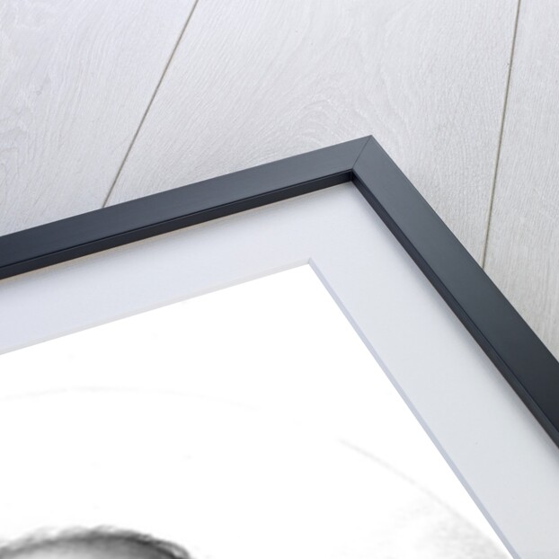 Portrait of Pierre Andre Latreille by Anonymous