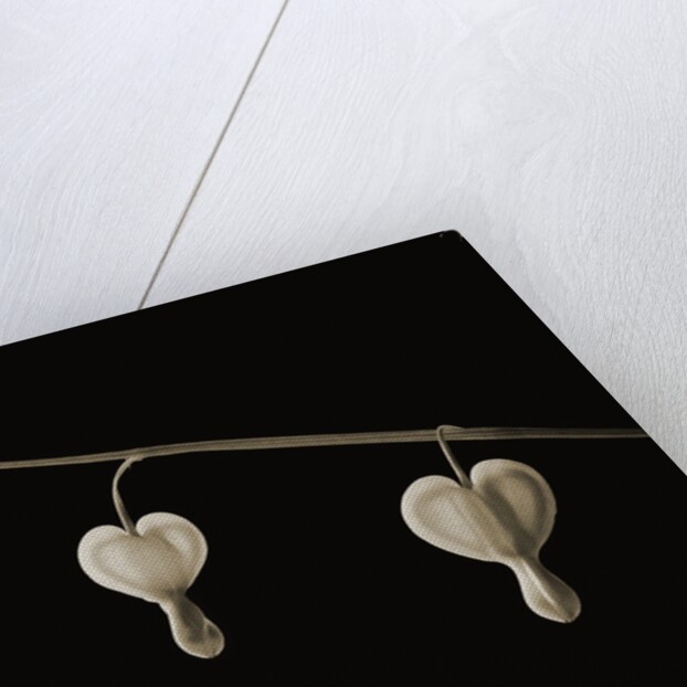 Bleeding Hearts by Tom Marks