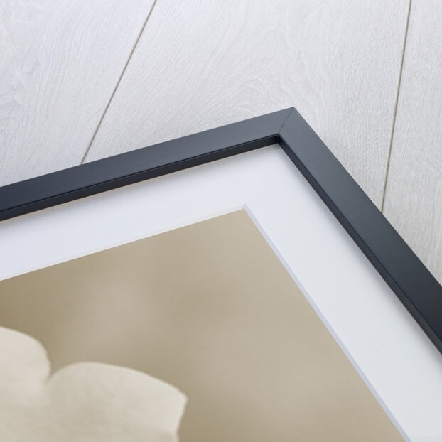 Small White Flower Stands Against Dramatic Sky by Tom Marks