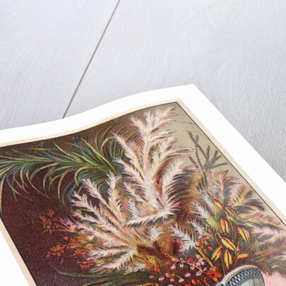 Dr. Warner's Coraline Corset Trade Card by Anonymous