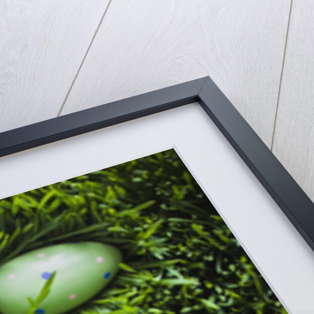 Easter Eggs on Grass by Anonymous