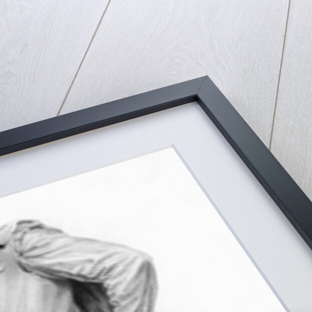 William Shakespeare by Anonymous