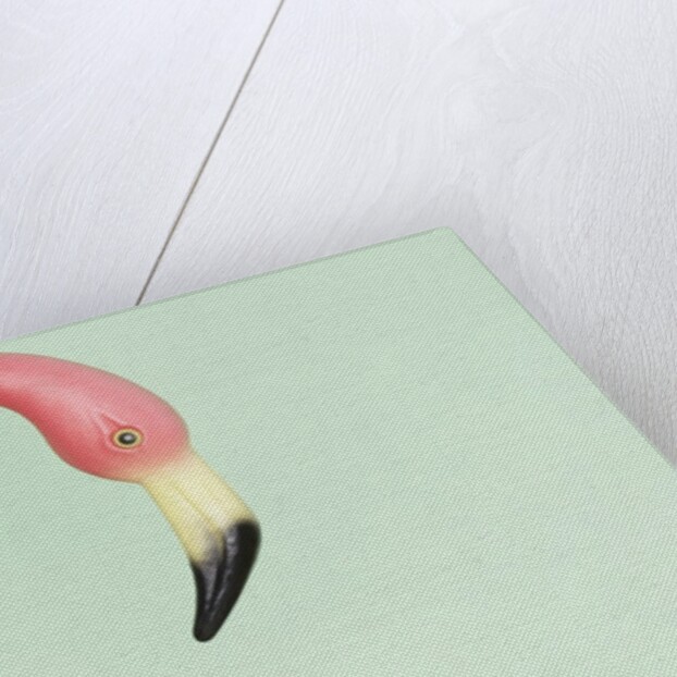 Chihuahua underneath a pink flamingo by Anonymous