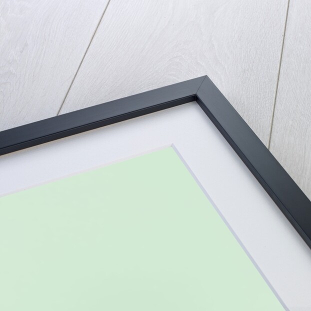 Chihuahua next to pink flamingo by Anonymous