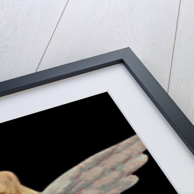 Die-Cut Scrap of Head of Child Angel by Anonymous