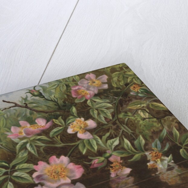 Postcard with Flowers Reflected in Water by Anonymous