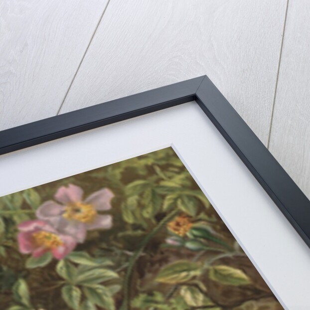 Postcard with Flowers Reflected in Water by Anonymous