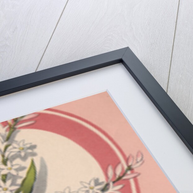 Illustration of Flower Arrangement by Anonymous