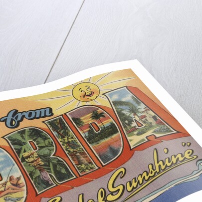 Greetings from Florida Postcard by Anonymous