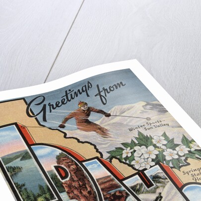 Greetings from Idaho Postcard by Anonymous