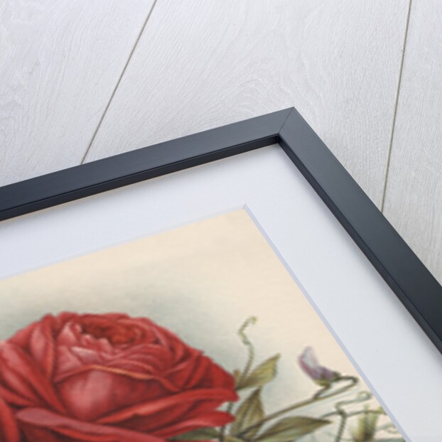 Illustration of Flowers Around Keyhold Design by Anonymous